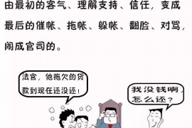 阿勒泰阿勒泰的要账公司在催收过程中的策略和技巧有哪些？